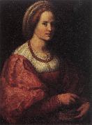 Andrea del Sarto Portrait of a Woman with a Basket of Spindles oil painting artist